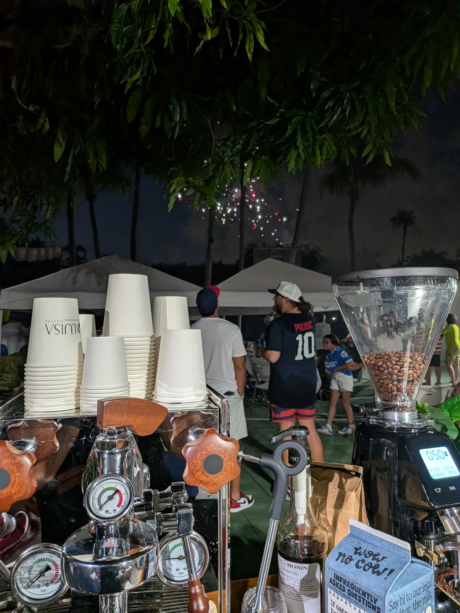 Luisa Coffee cart serving guests at an evening backyard celebration
